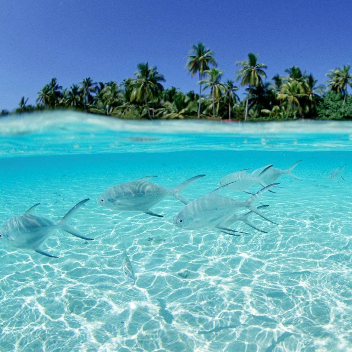 Punta Cana Sol Caribe Beach Pool Экстерьер фото